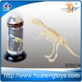 Melhor modelo de esqueleto de plástico por atacado de dinossauro para o presente da promoção para miúdos